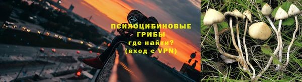 гашик Верхний Тагил