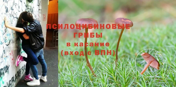 MESCALINE Верея